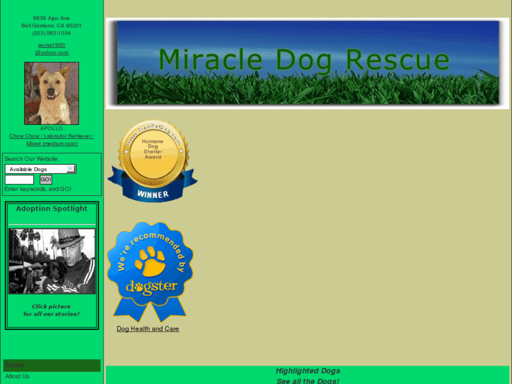 www.miracledogrescue.org