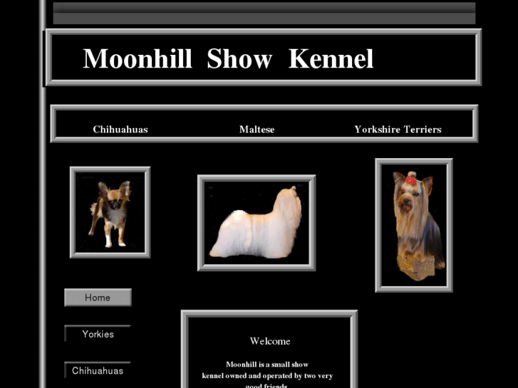 www.moonhillshow.com