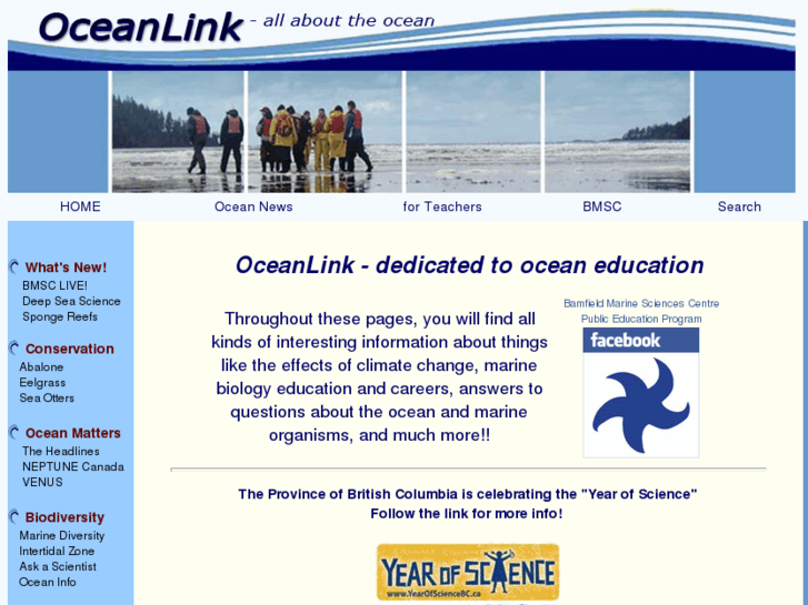 www.oceanlink.info