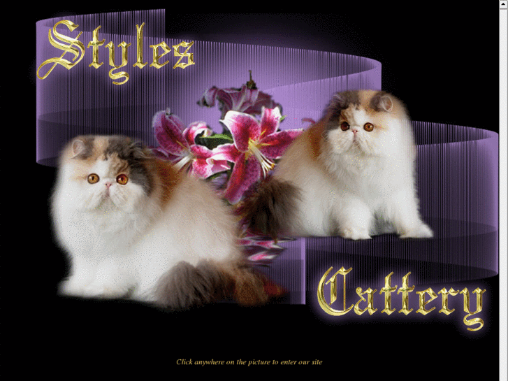 www.stylescats.com