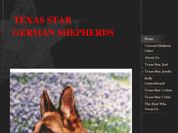 www.texasstargermanshepherds.com