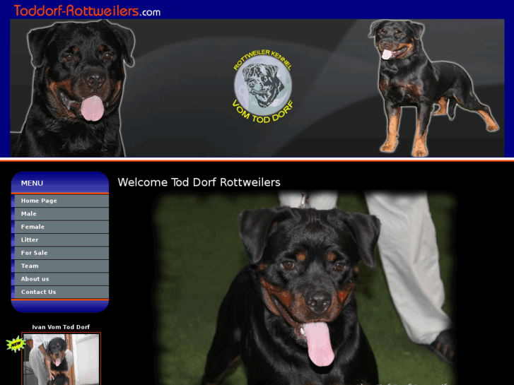 www.toddorf-rottweilers.com