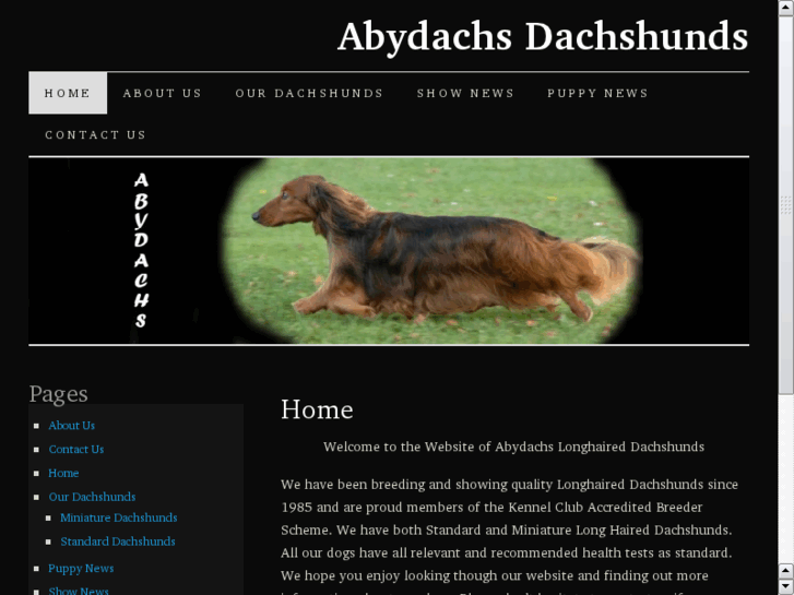 www.abydachs.co.uk