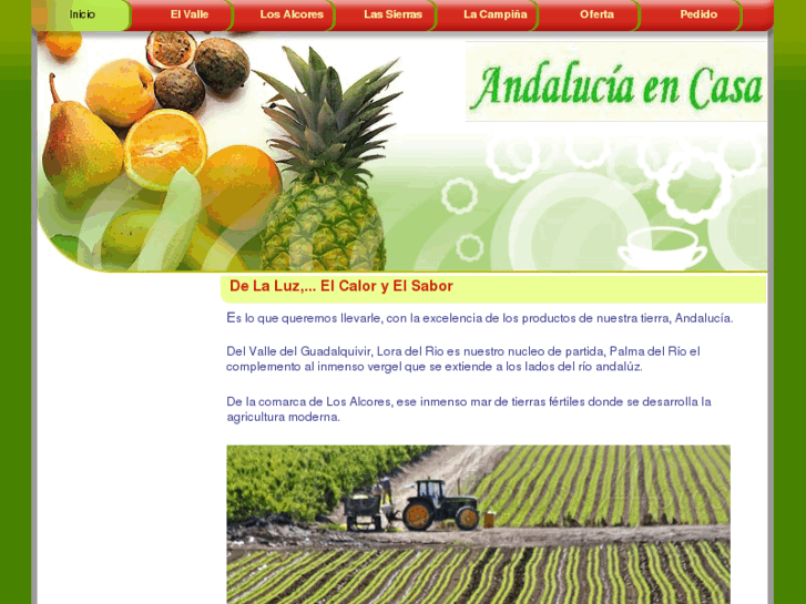 www.andaluciaencasa.com