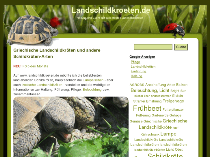 www.landschildkroeten.de