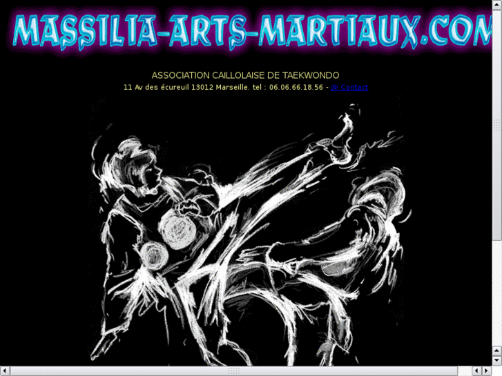 www.massilia-arts-martiaux.com