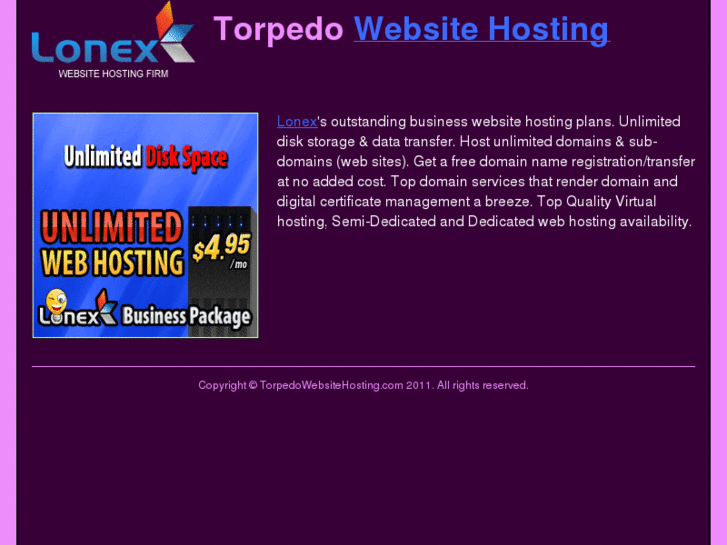 www.torpedowebsitehosting.com