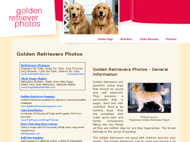 www.golden-retriever-photos.com