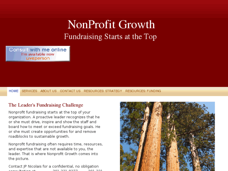 www.nonprofit-growth.com