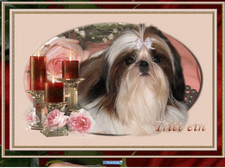 www.shihtzu-weissbeck.de