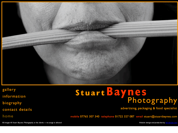 www.stuartbaynes.com