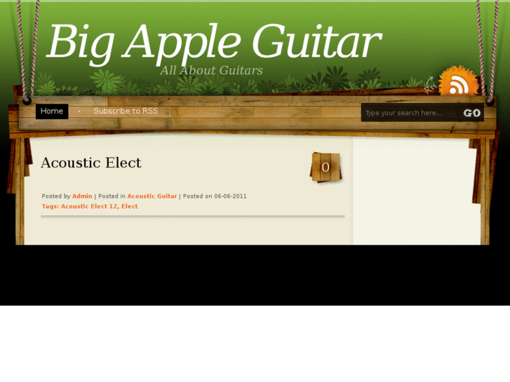 www.bigappleguitar.com