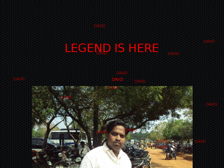 www.davidbilla.com