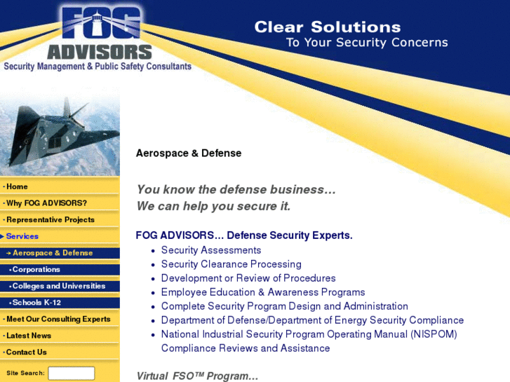 www.defensesecurityconsultant.com