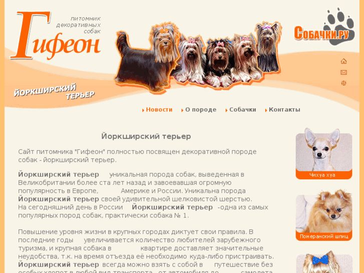 www.gifeon.ru