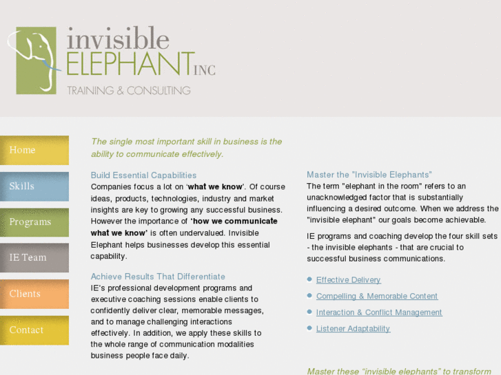 www.invisible-elephant.com