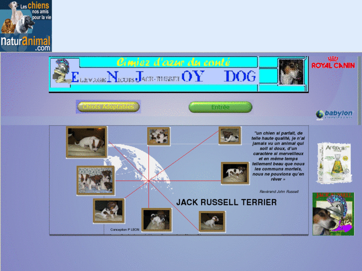 www.jackrussellterrierdcn.org