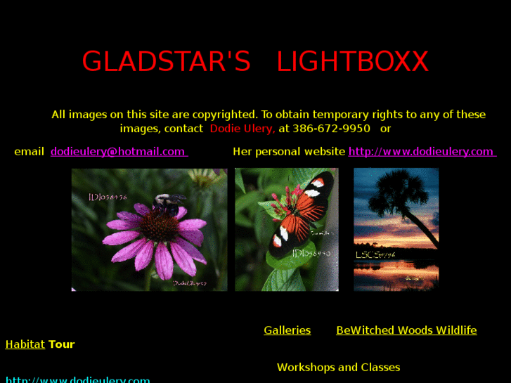 www.lightboxx.net