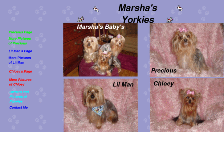 www.marshasyorkies.com