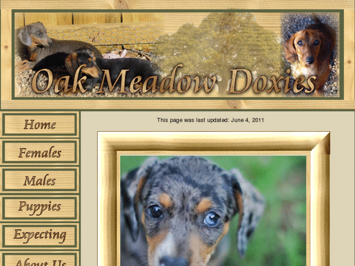 www.oakmeadowdoxies.com