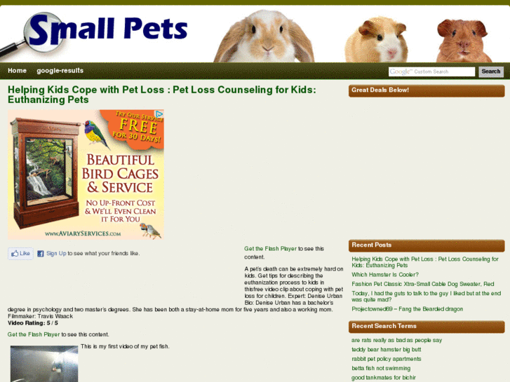 www.small-pets.info