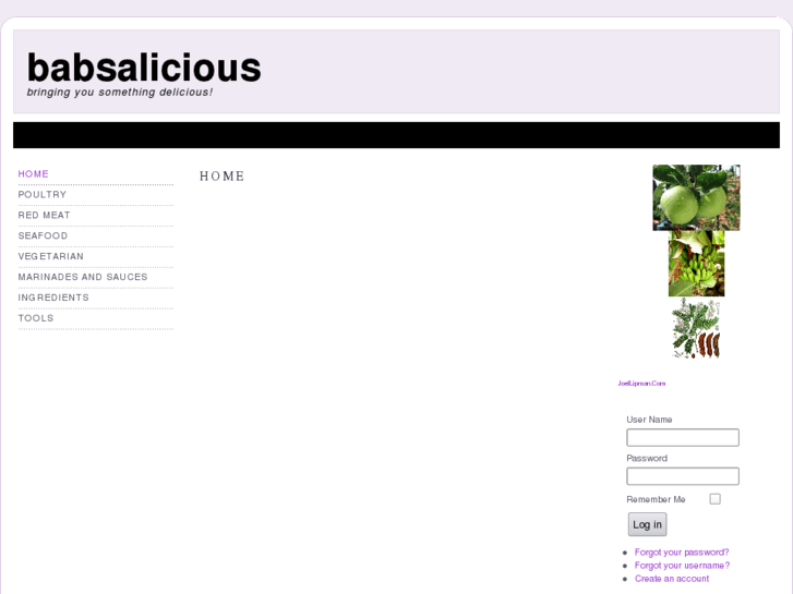 www.babsalicious.com