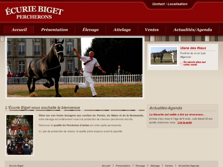 www.elevage-percheron.com