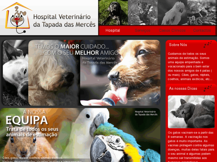 www.hospitalveterinariodatapada.com