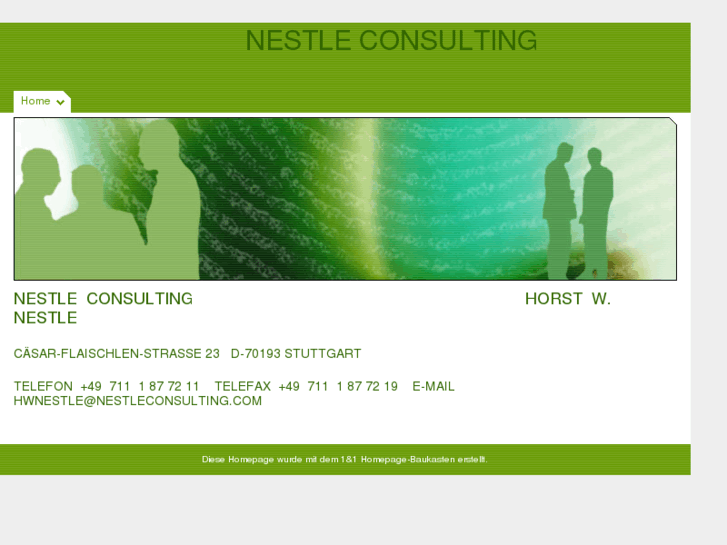 www.nestleconsulting.com