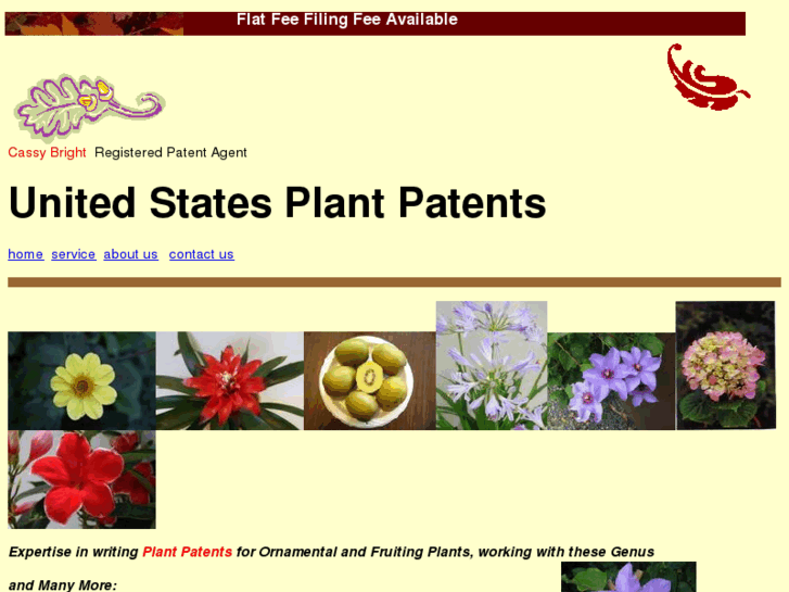 www.plantpatentagent.com