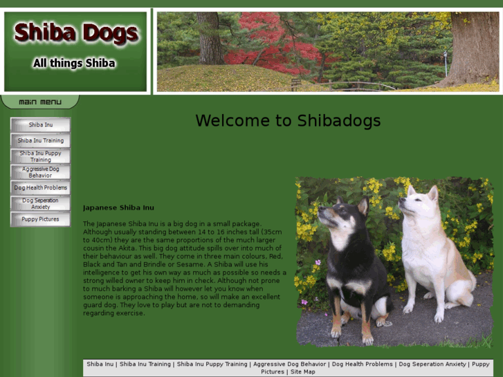 www.shibadogs.com