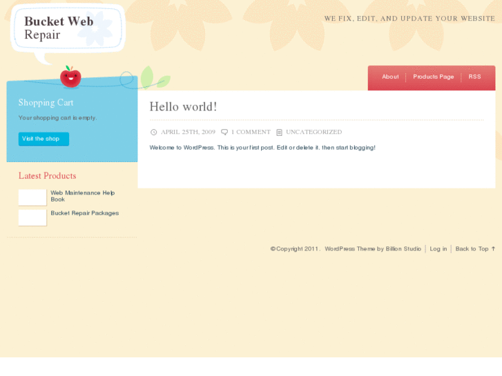 www.bucketwebrepair.com