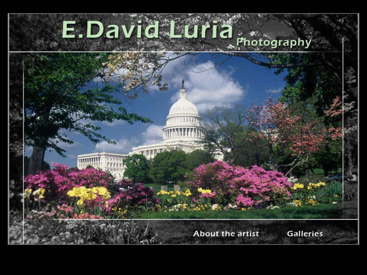 www.edavidluriaphotography.com