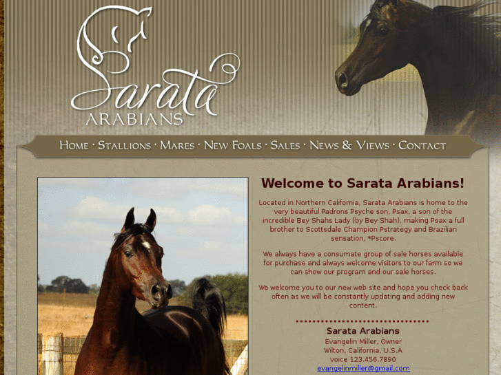 www.sarataarabians.com