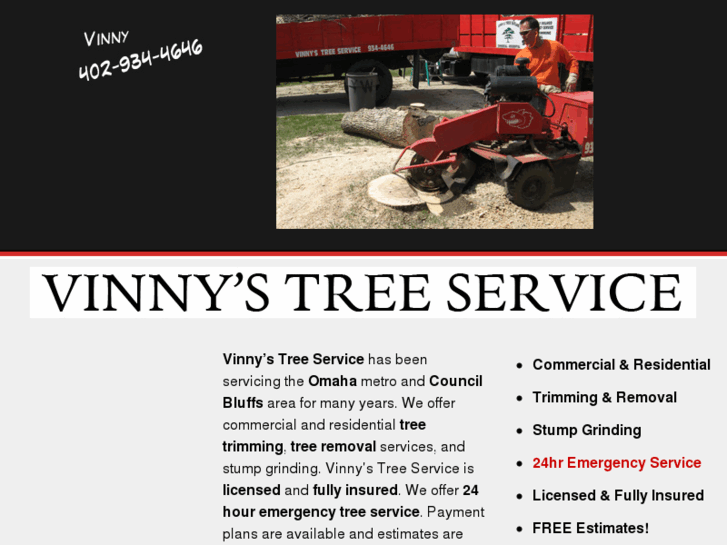 www.vinnystreeservice.com