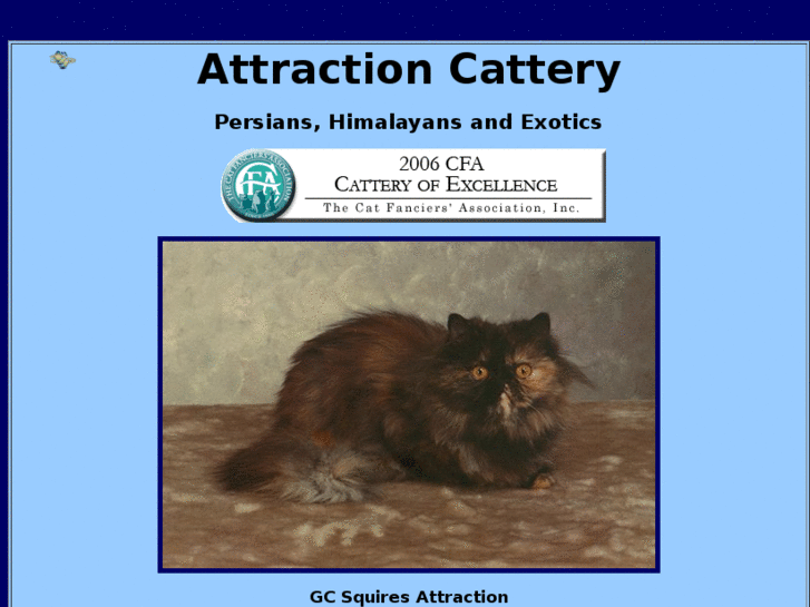 www.attractioncattery.com