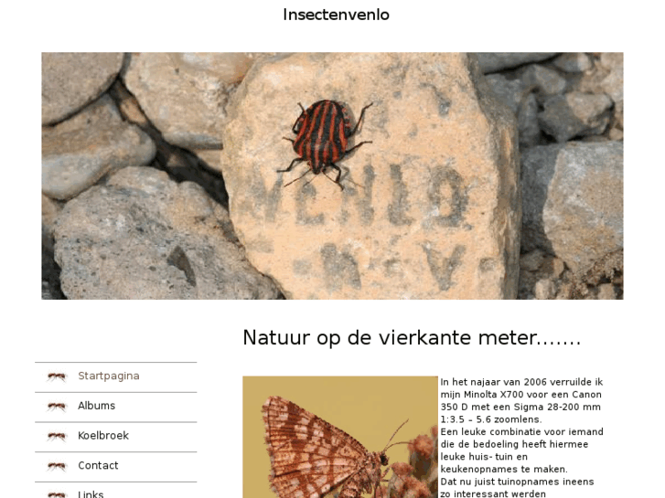 www.insectenvenlo.nl