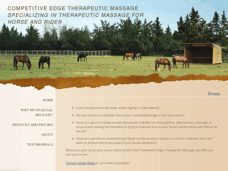 www.massage4horseandrider.com