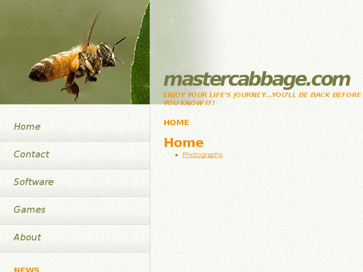 www.mastercabbage.com