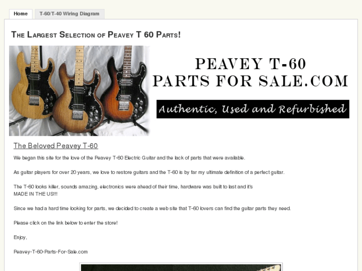 www.peavey-t-60-parts-for-sale.com