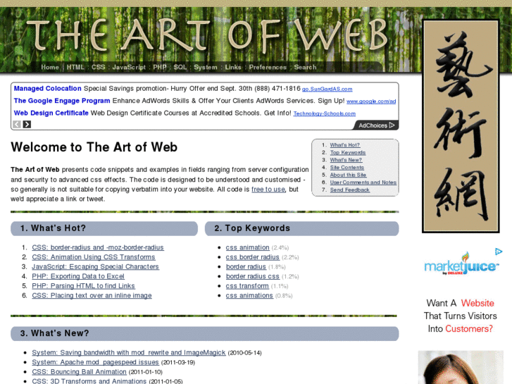 www.the-art-of-web.com