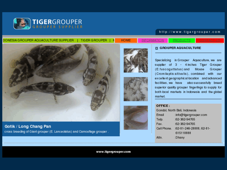 www.tigergrouper.com