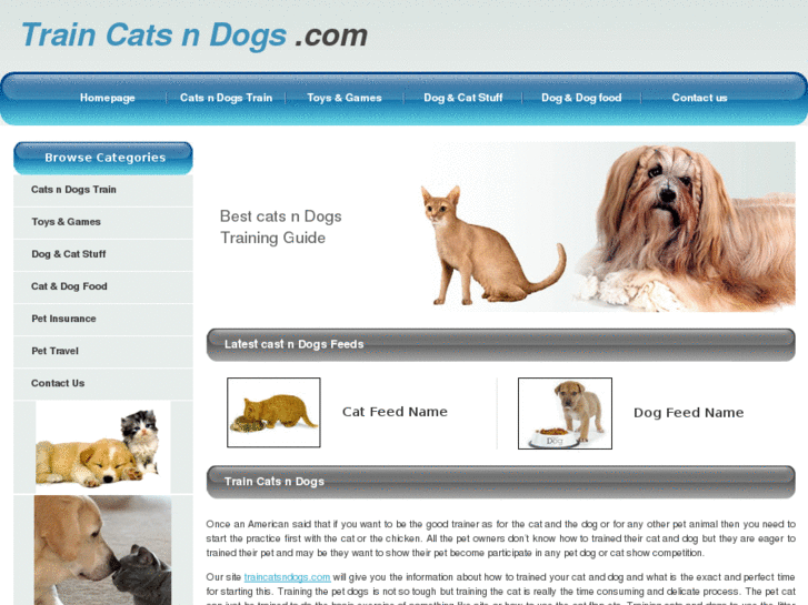 www.traincatsndogs.com
