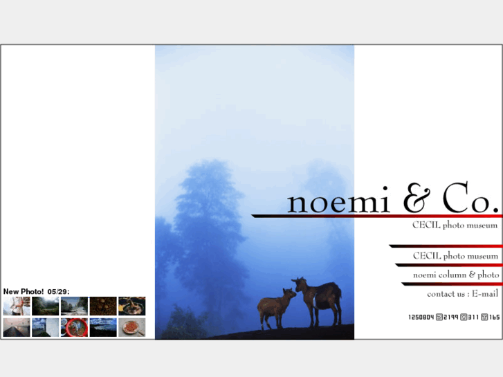 www.noemi-s.net