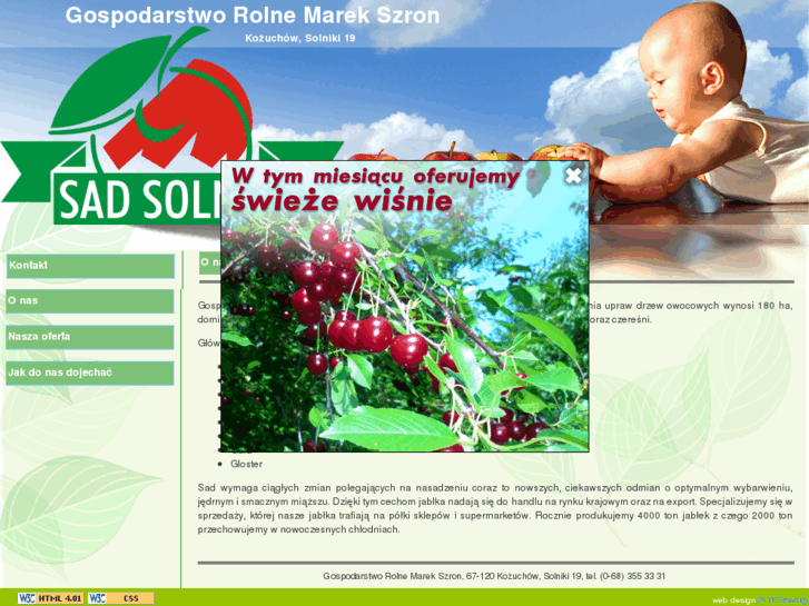 www.solniki.com