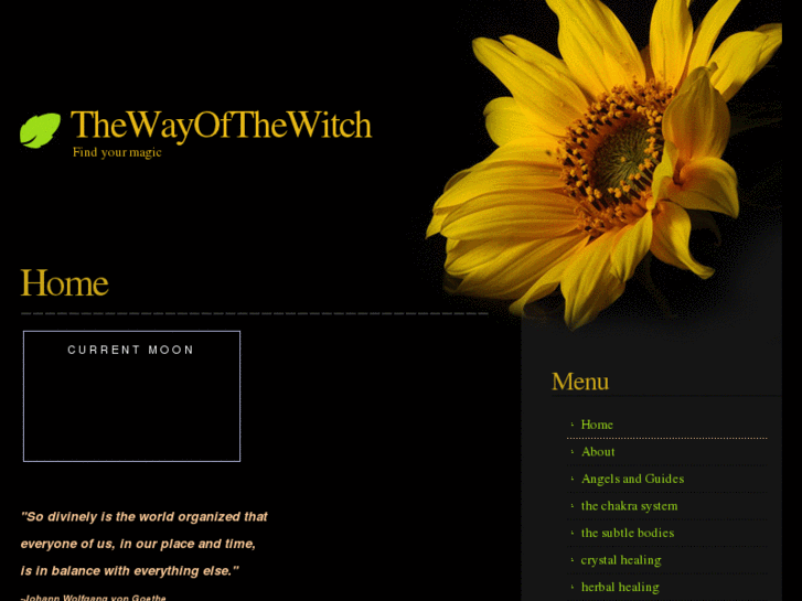 www.thewayofthewitch.com