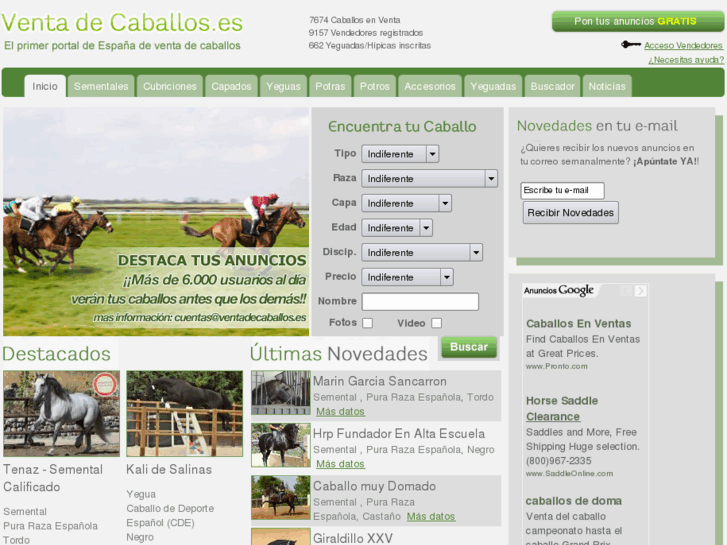 www.ventadecaballos.es