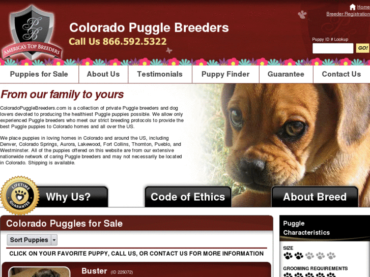 www.coloradopugglebreeders.com