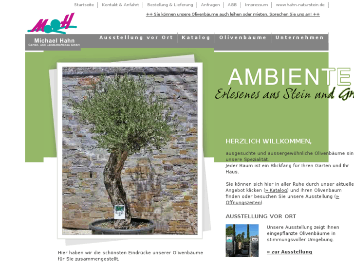 www.hahn-olivenbaum.info