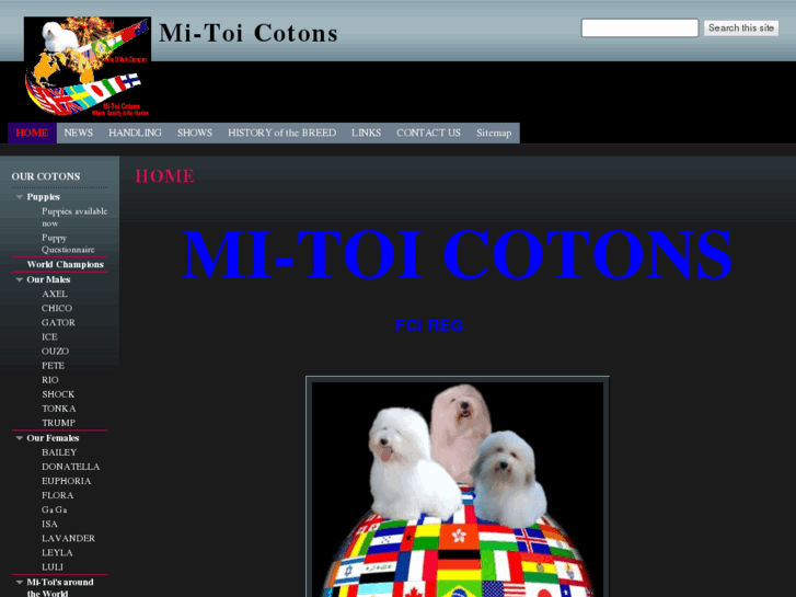 www.mitoicotons.com